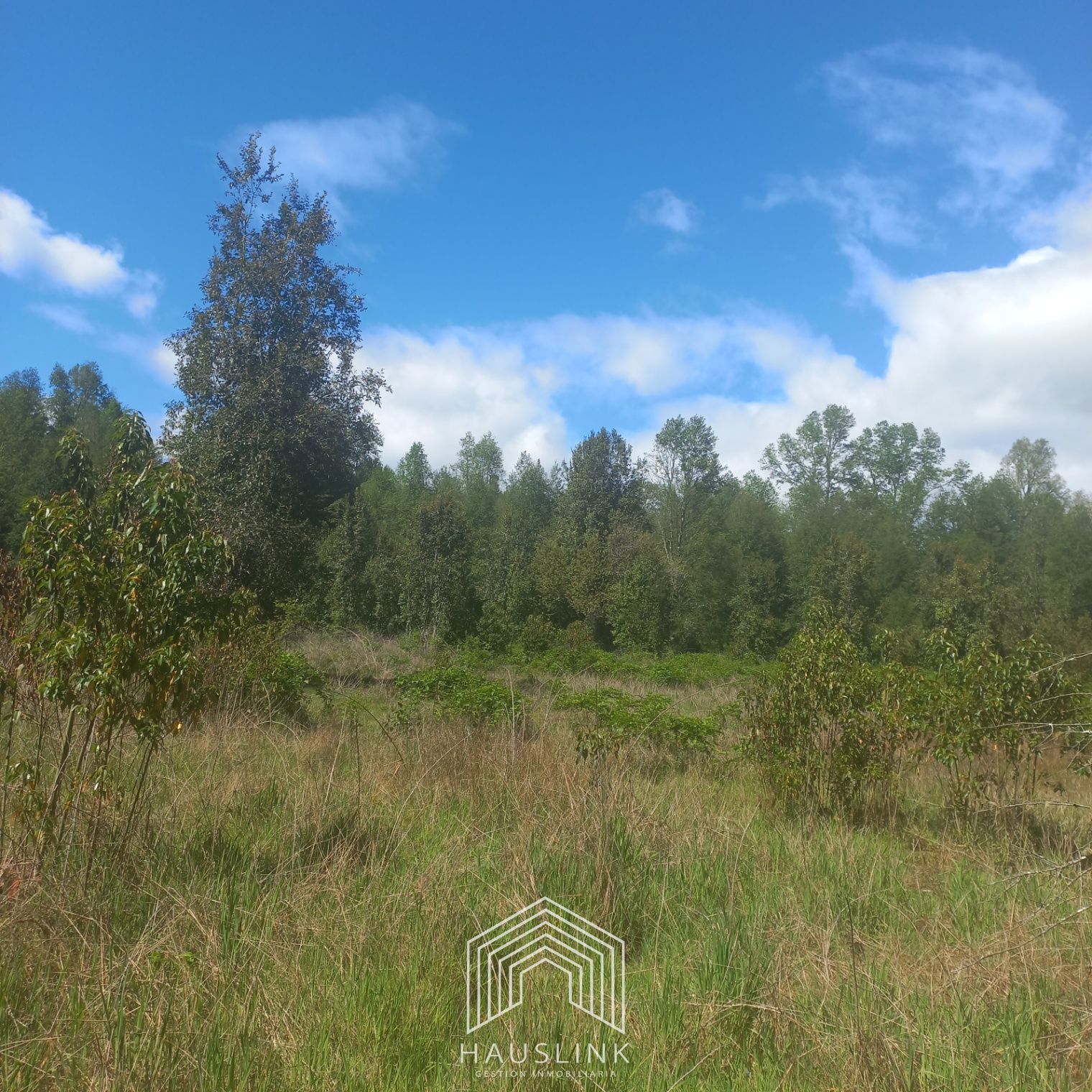 Foto 6 de A412 TERRENO 6.5 Ha. MOLCO - SEGUNDA FAJA VILLARRICA