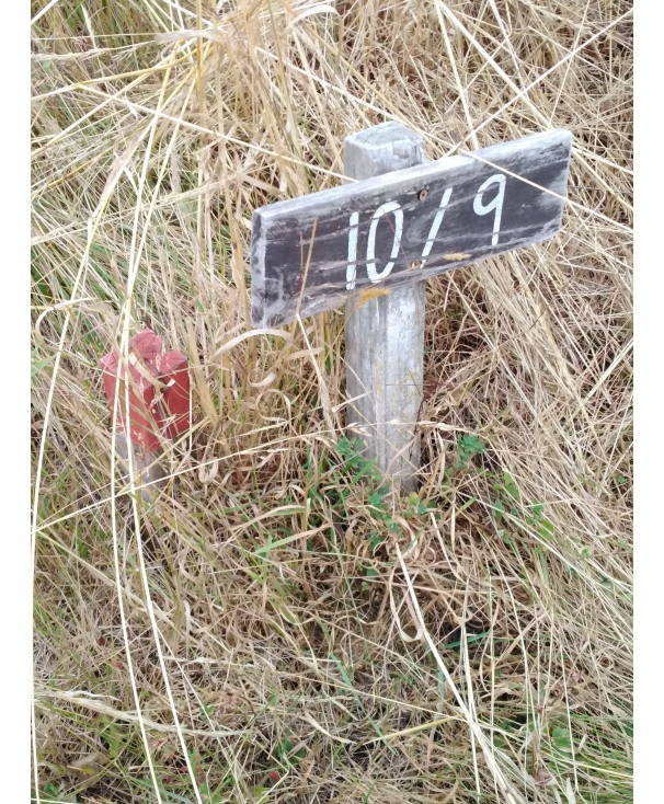 Foto 4 de A86 Flor del Lago, Loteo Peumayen