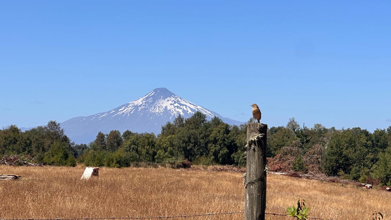 Foto 14 de A451 Solo tres Parcelas En Condominio cerca de Villarrica