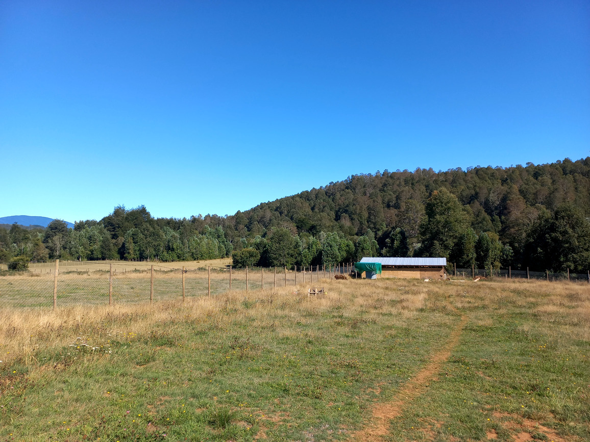 Foto 1 de A496 PARCELA DE 5.000 m² CON CASA – SECTOR LOS COPIHUES