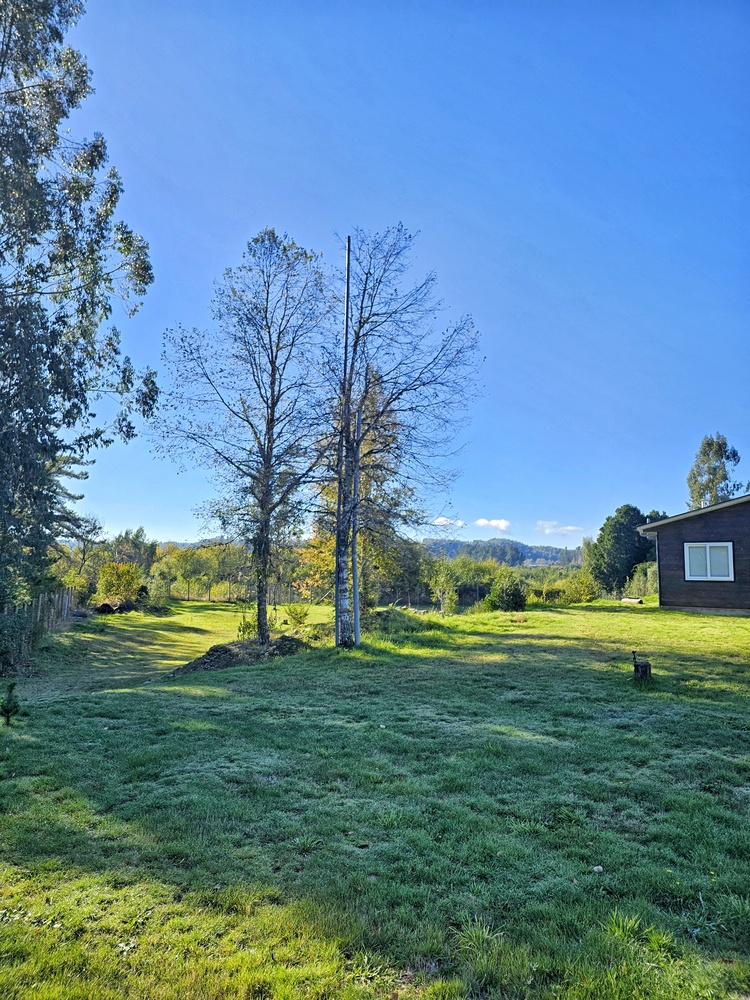 Foto 4 de A433 Parcela casa orilla río toltén-piscina-quincho Villarrica