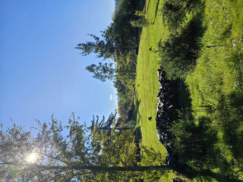 Foto 7 de A433 Parcela casa orilla río toltén-piscina-quincho Villarrica