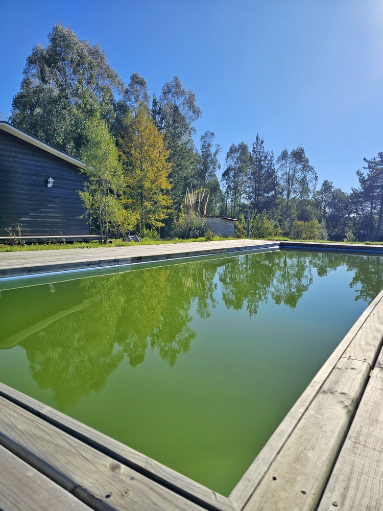 Foto 10 de A433 Parcela casa orilla río toltén-piscina-quincho Villarrica
