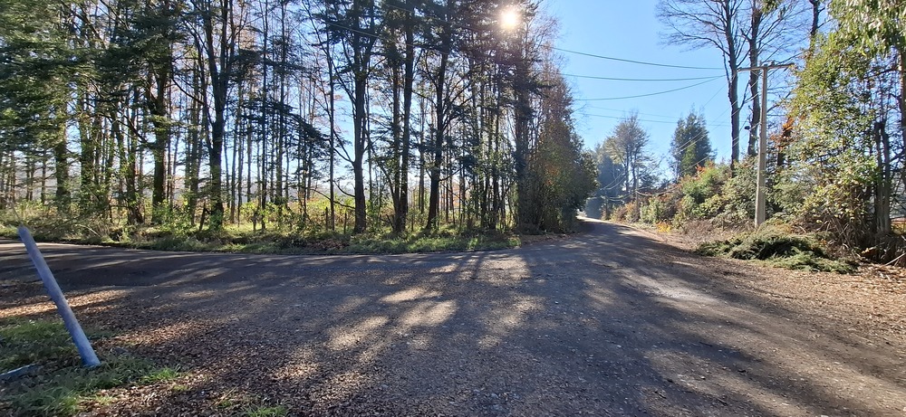 Foto 7 de A440 Loteo con vista al volcán Villarrica sector Lefún - Villarrica