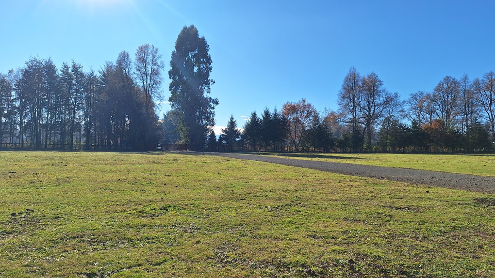 Foto 10 de A440 Loteo con vista al volcán Villarrica sector Lefún - Villarrica