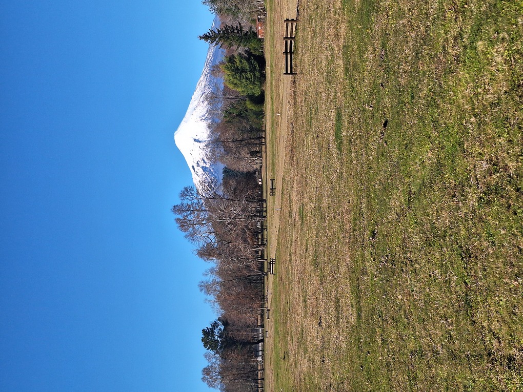 Foto 17 de A440 Loteo con vista al volcán Villarrica sector Lefún - Villarrica