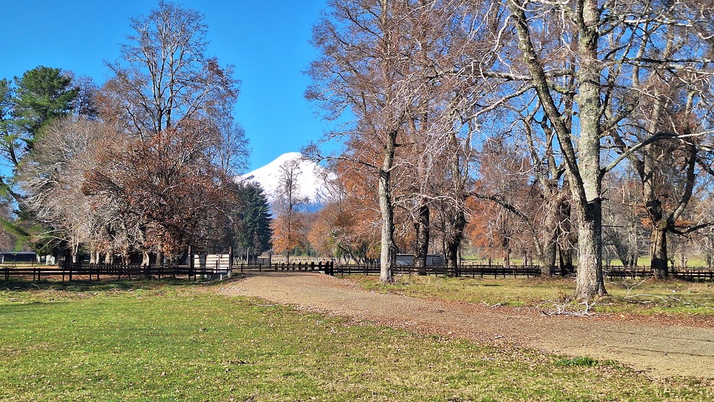 A440 Loteo con vista al volcán Villarrica sector Lefún - Villarrica