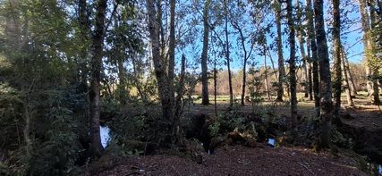 Foto 11 de A448 Parcelas rurales con vista al volcán – Conquil Villarrica