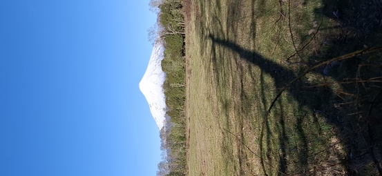 Foto 19 de A448 Parcelas rurales con vista al volcán – Conquil Villarrica