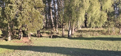 Foto 2 de A450 Proyecto en verde “La Estancia Alto Roble” Segunda Faja – Villarrica