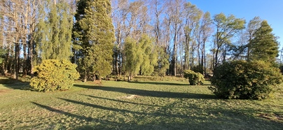 Foto 3 de A450 Proyecto en verde “La Estancia Alto Roble” Segunda Faja – Villarrica