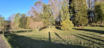 Foto 4 de A450 Proyecto en verde “La Estancia Alto Roble” Segunda Faja – Villarrica