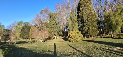 Foto 5 de A450 Proyecto en verde “La Estancia Alto Roble” Segunda Faja – Villarrica