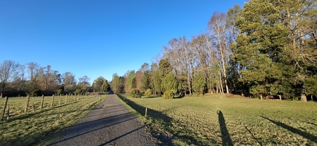 Foto 7 de A450 Proyecto en verde “La Estancia Alto Roble” Segunda Faja – Villarrica