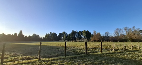 Foto 8 de A450 Proyecto en verde “La Estancia Alto Roble” Segunda Faja – Villarrica