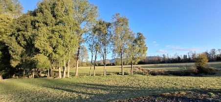 Foto 9 de A450 Proyecto en verde “La Estancia Alto Roble” Segunda Faja – Villarrica