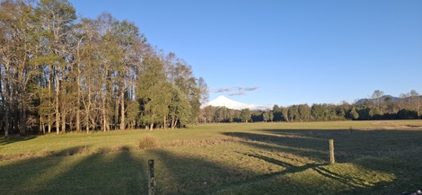 Foto 12 de A450 Proyecto en verde “La Estancia Alto Roble” Segunda Faja – Villarrica