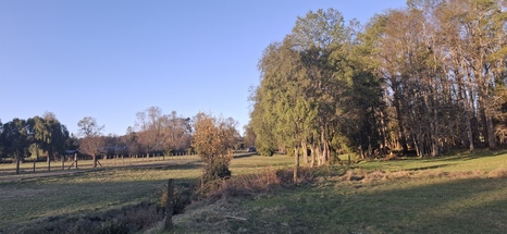 Foto 13 de A450 Proyecto en verde “La Estancia Alto Roble” Segunda Faja – Villarrica