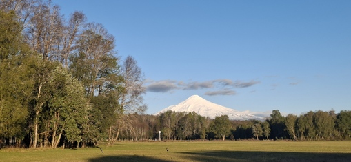A450 Proyecto en verde “La Estancia Alto Roble” Segunda Faja – Villarrica