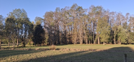Foto 16 de A450 Proyecto en verde “La Estancia Alto Roble” Segunda Faja – Villarrica