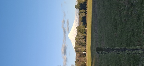 Foto 17 de A450 Proyecto en verde “La Estancia Alto Roble” Segunda Faja – Villarrica
