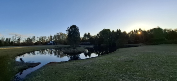 Foto 18 de A450 Proyecto en verde “La Estancia Alto Roble” Segunda Faja – Villarrica