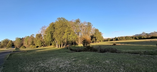 Foto 19 de A450 Proyecto en verde “La Estancia Alto Roble” Segunda Faja – Villarrica