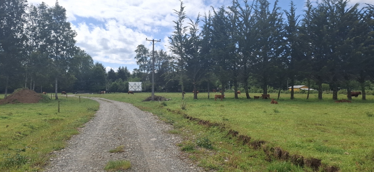 Foto 1 de A488 Parcelas de 5.000 m² con acceso al río, Loteo Parque Río Escondido Loncoche