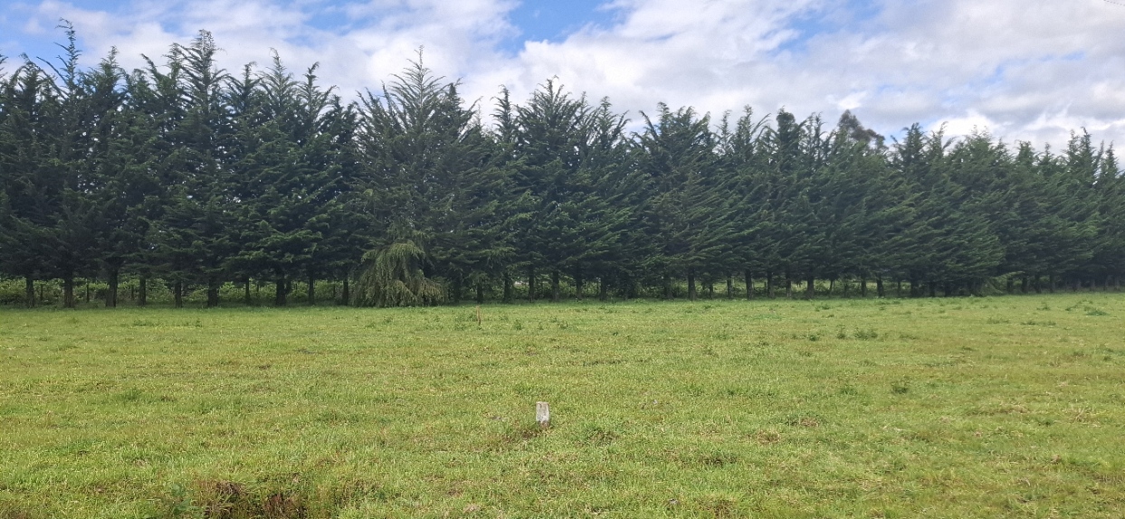 Foto 2 de A488 Parcelas de 5.000 m² con acceso al río, Loteo Parque Río Escondido Loncoche