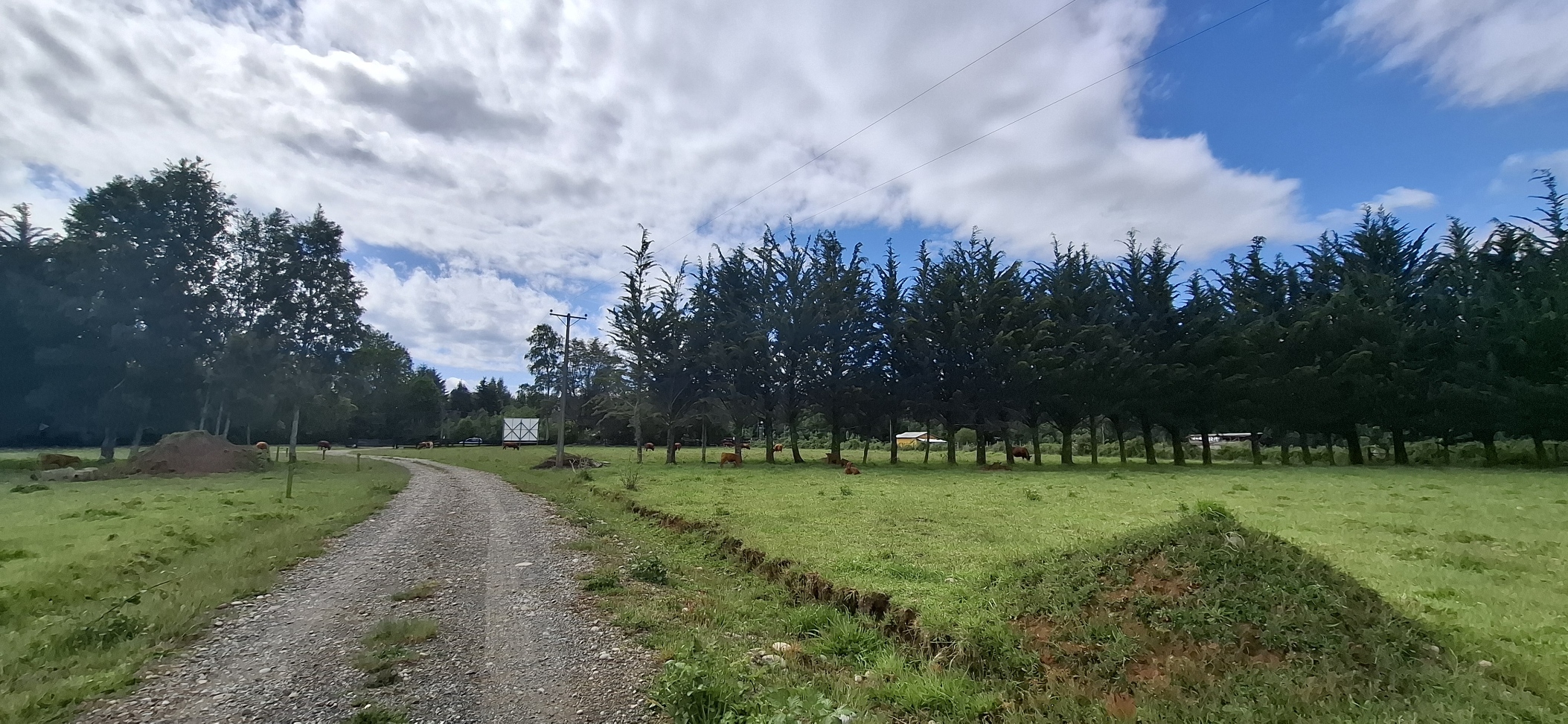 Foto 4 de A488 Parcelas de 5.000 m² con acceso al río, Loteo Parque Río Escondido Loncoche