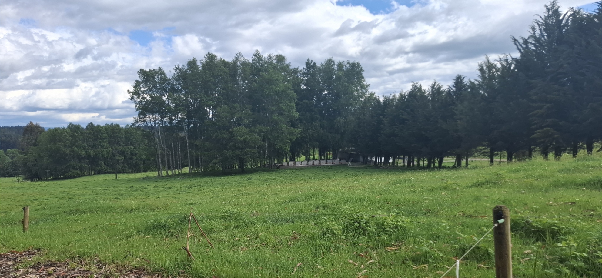 Foto 6 de A488 Parcelas de 5.000 m² con acceso al río, Loteo Parque Río Escondido Loncoche