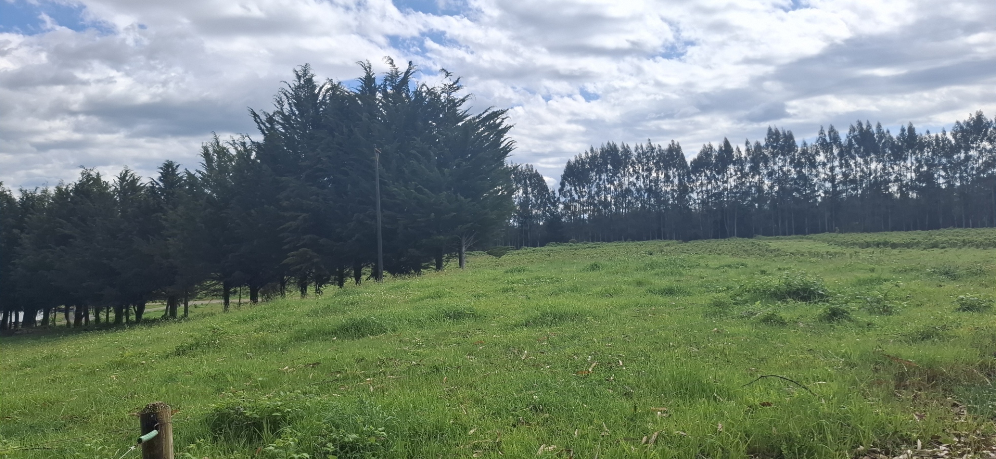Foto 7 de A488 Parcelas de 5.000 m² con acceso al río, Loteo Parque Río Escondido Loncoche