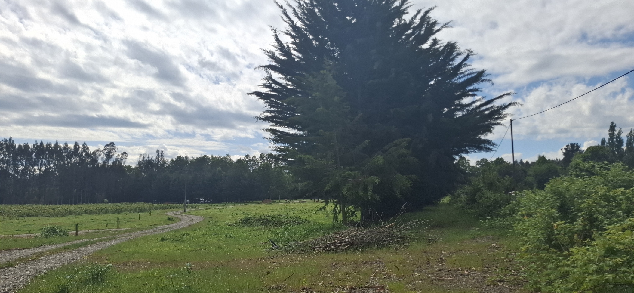 Foto 8 de A488 Parcelas de 5.000 m² con acceso al río, Loteo Parque Río Escondido Loncoche