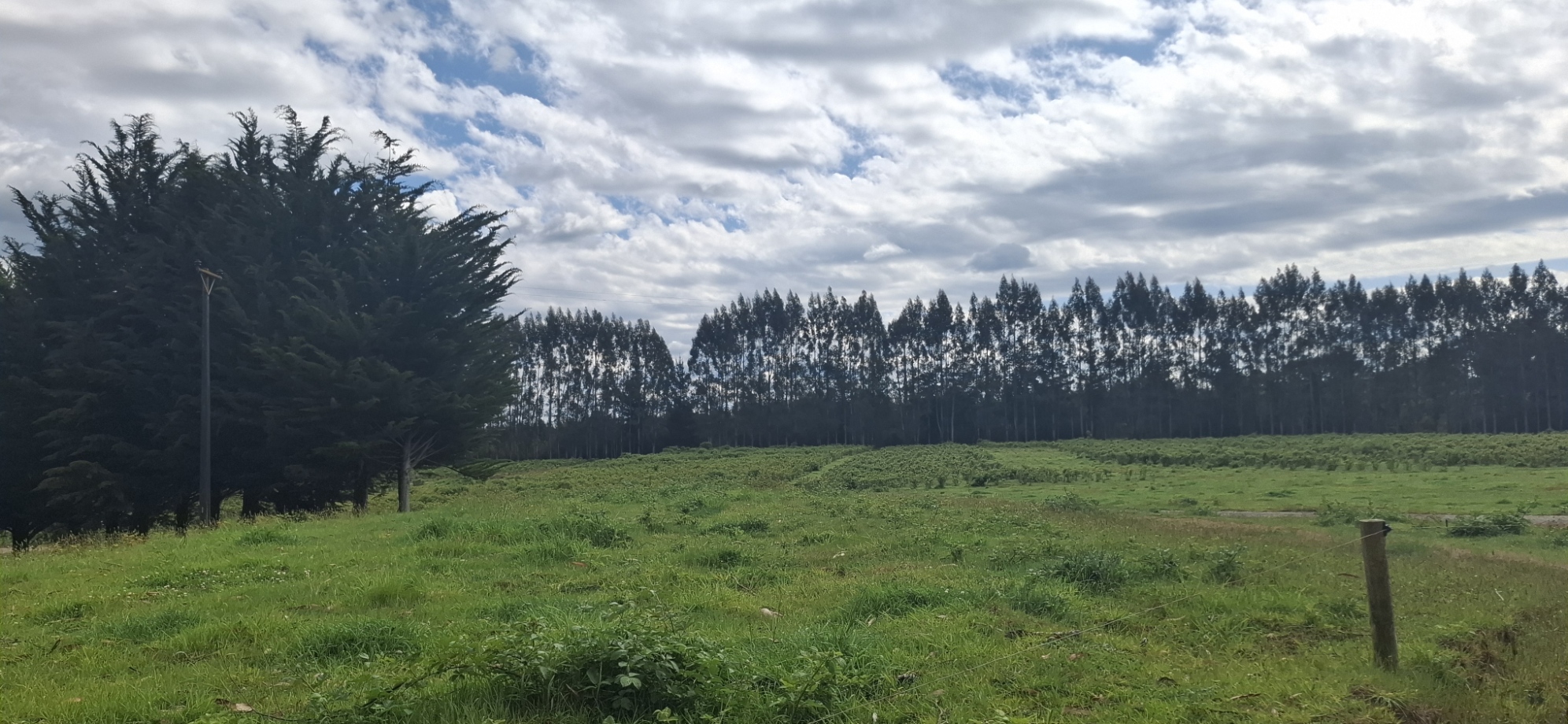 Foto 9 de A488 Parcelas de 5.000 m² con acceso al río, Loteo Parque Río Escondido Loncoche
