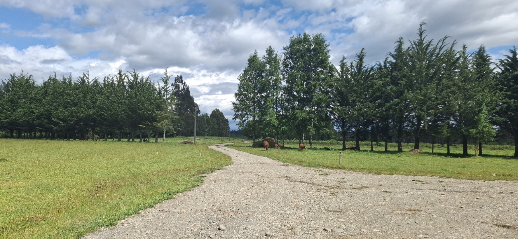 Foto 10 de A488 Parcelas de 5.000 m² con acceso al río, Loteo Parque Río Escondido Loncoche