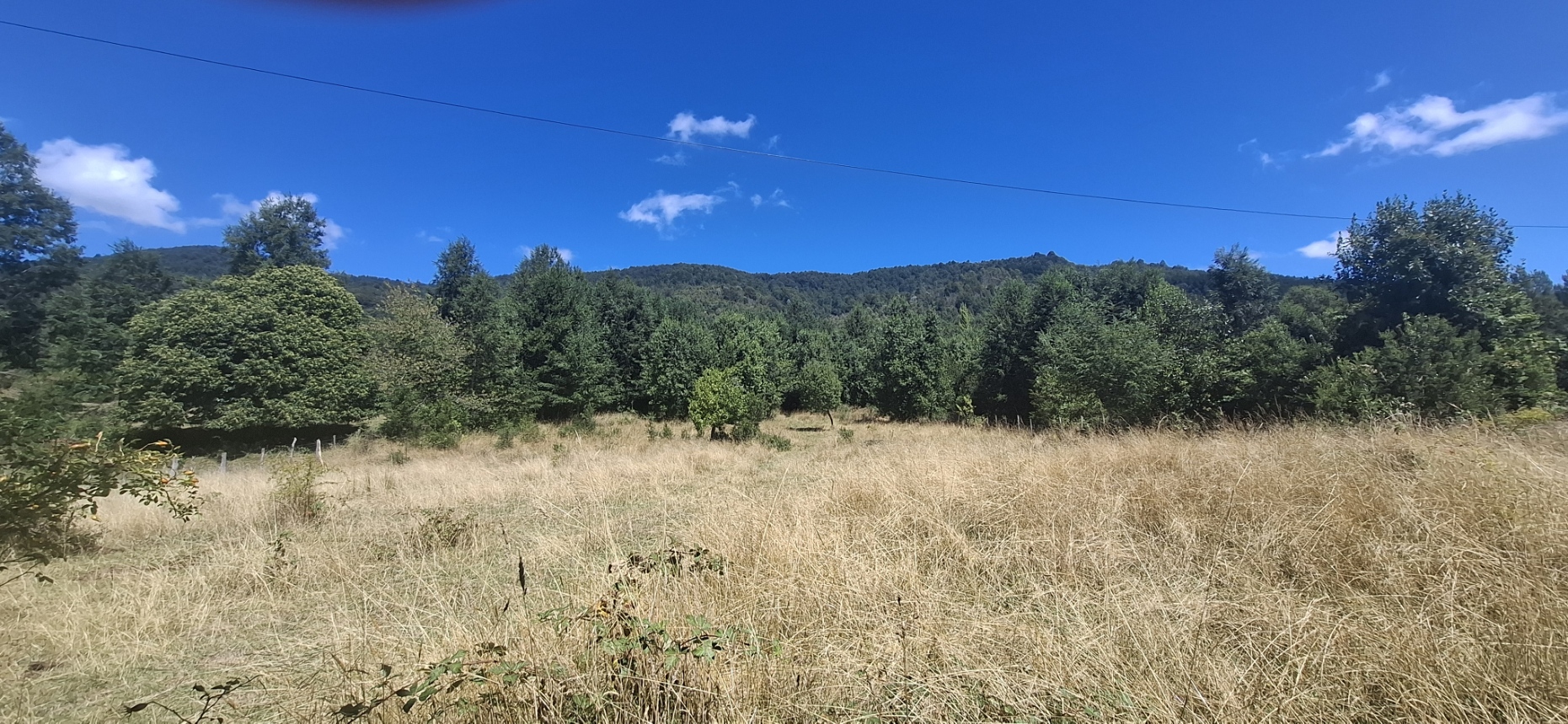 Foto 1 de A498 Terreno mapuche en Huincacara – Al Pie de Cerro con Bosque Nativo