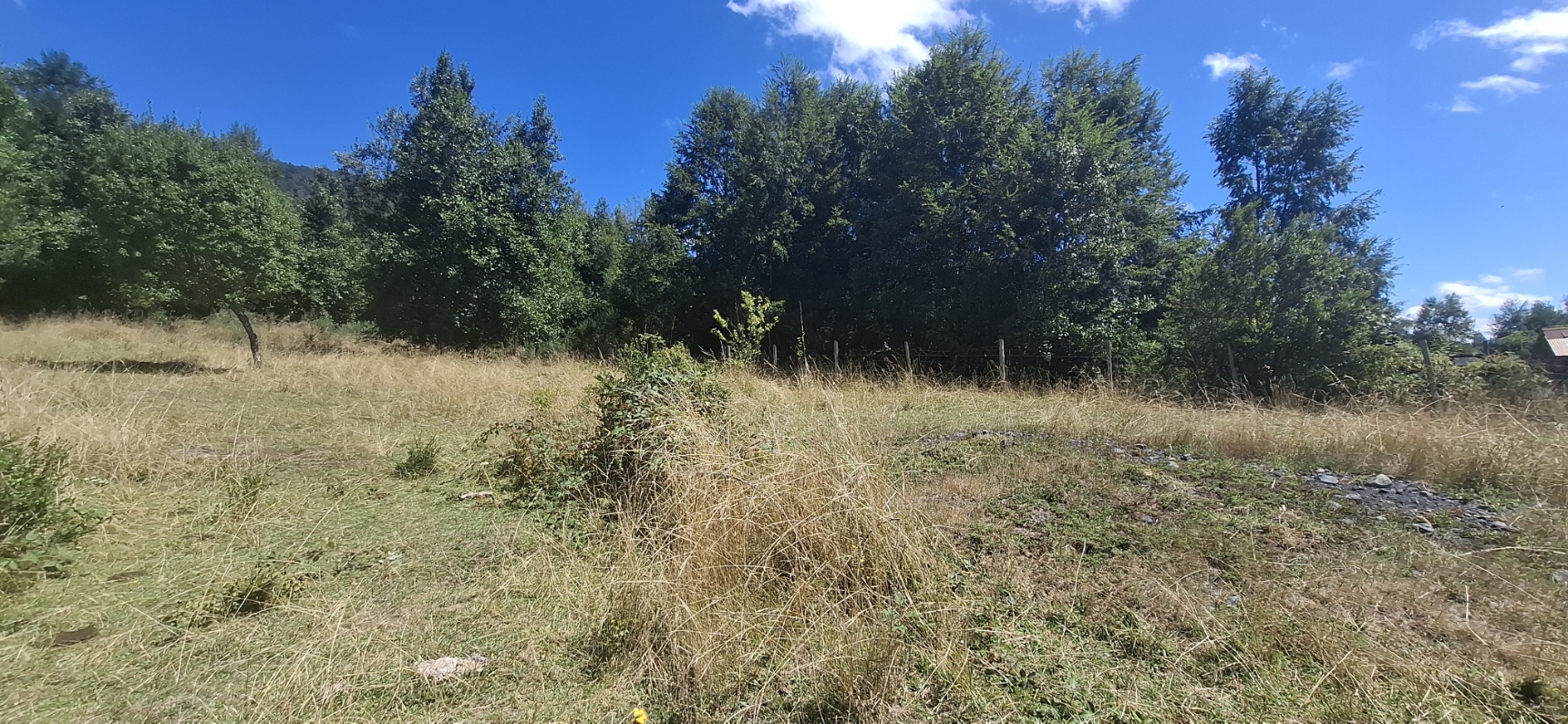 Foto 3 de A498 Terreno mapuche en Huincacara – Al Pie de Cerro con Bosque Nativo
