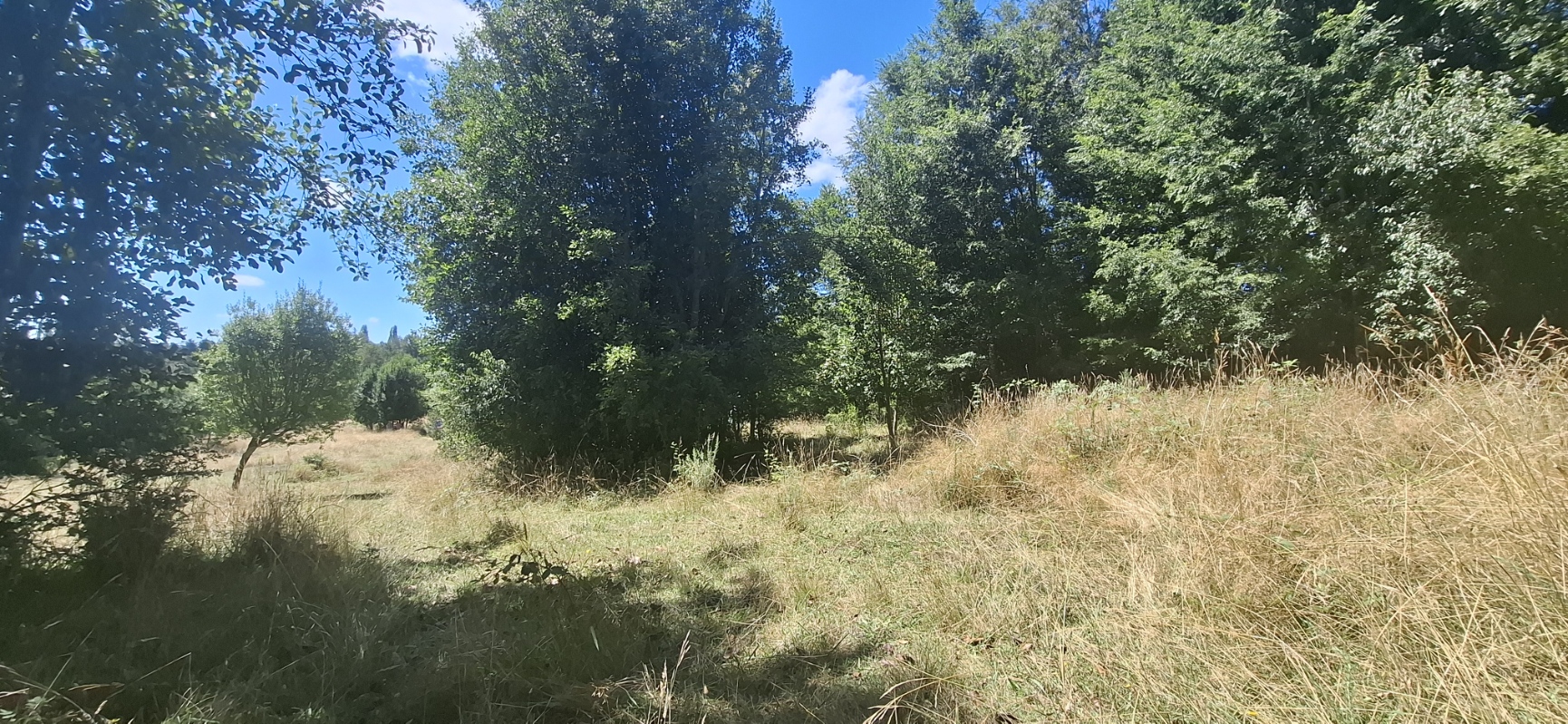 Foto 6 de A498 Terreno mapuche en Huincacara – Al Pie de Cerro con Bosque Nativo