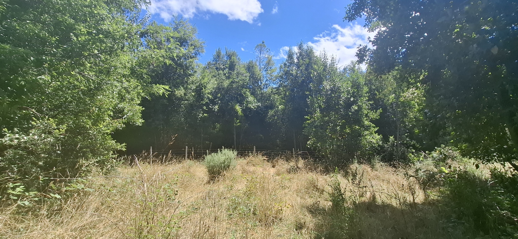 Foto 7 de A498 Terreno mapuche en Huincacara – Al Pie de Cerro con Bosque Nativo
