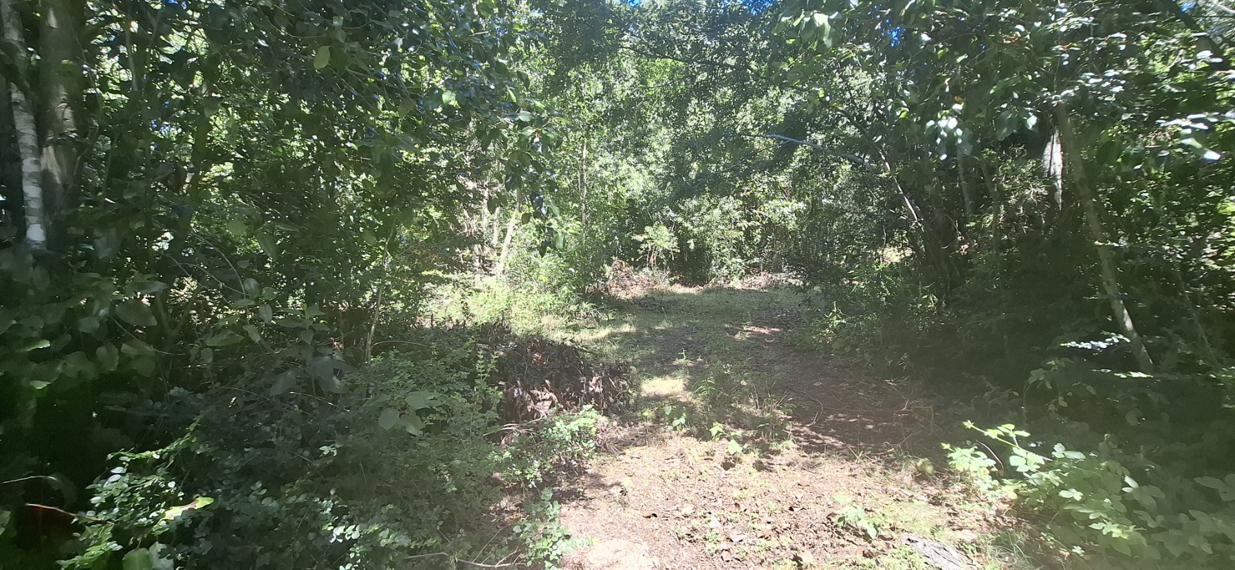 Foto 13 de A498 Terreno mapuche en Huincacara – Al Pie de Cerro con Bosque Nativo
