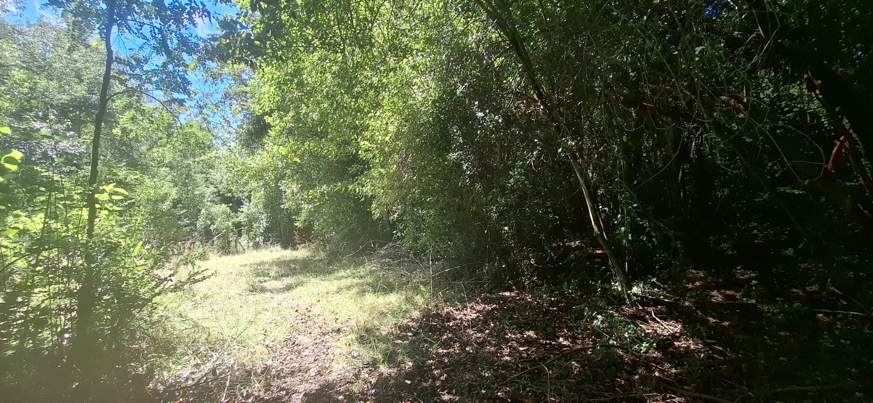 Foto 20 de A498 Terreno mapuche en Huincacara – Al Pie de Cerro con Bosque Nativo