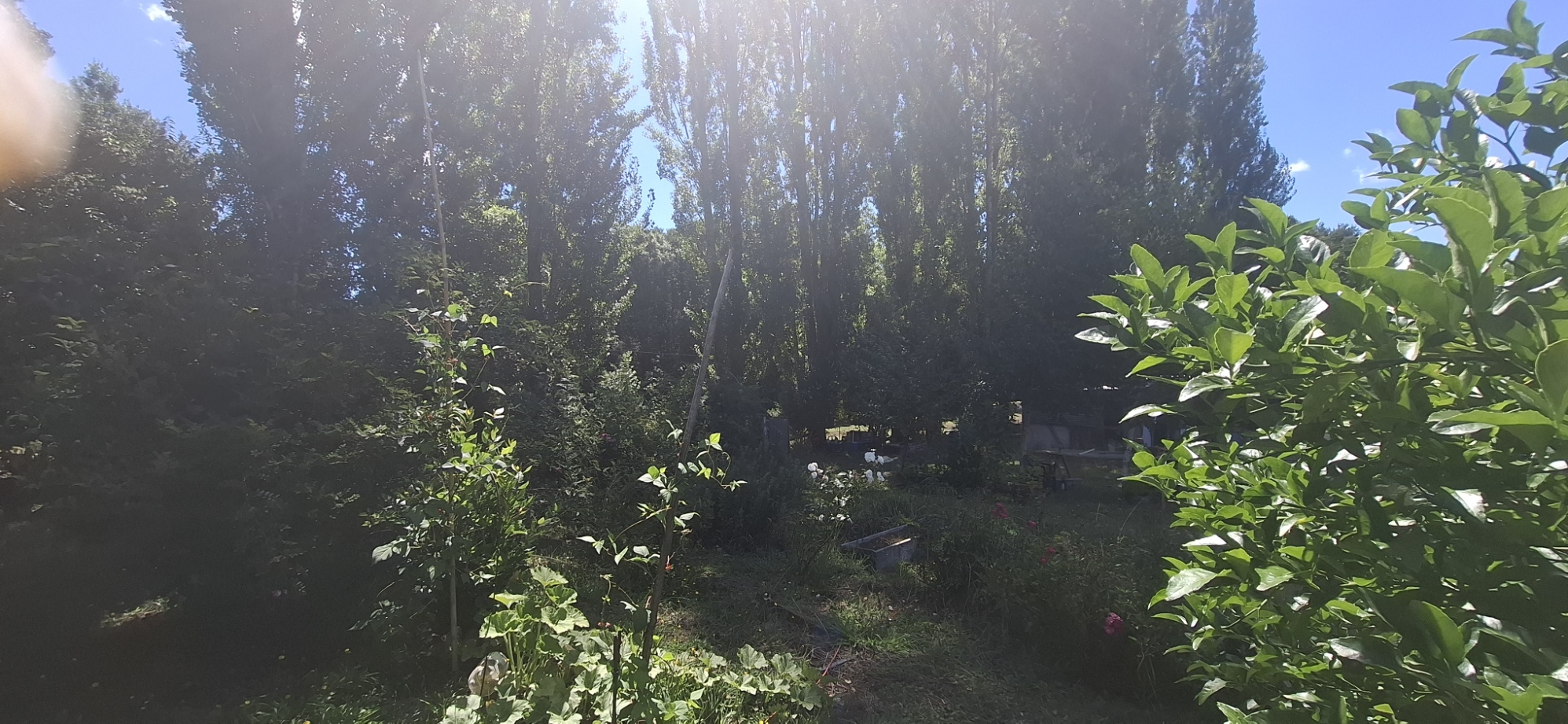 Foto 17 de A497 Parcela con Casa y Cabaña en Huincacara – Entorno de Bosque Nativo