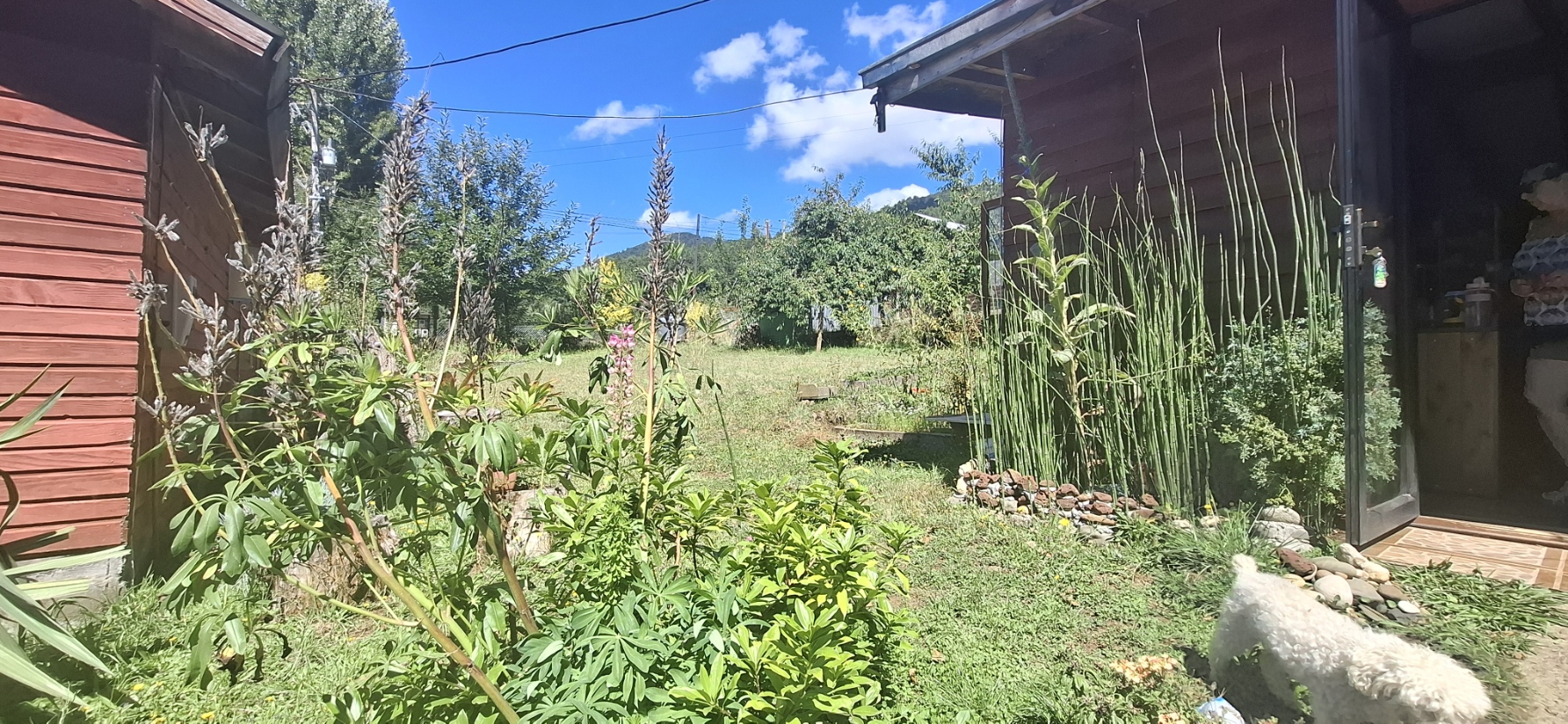 Foto 18 de A497 Parcela con Casa y Cabaña en Huincacara – Entorno de Bosque Nativo