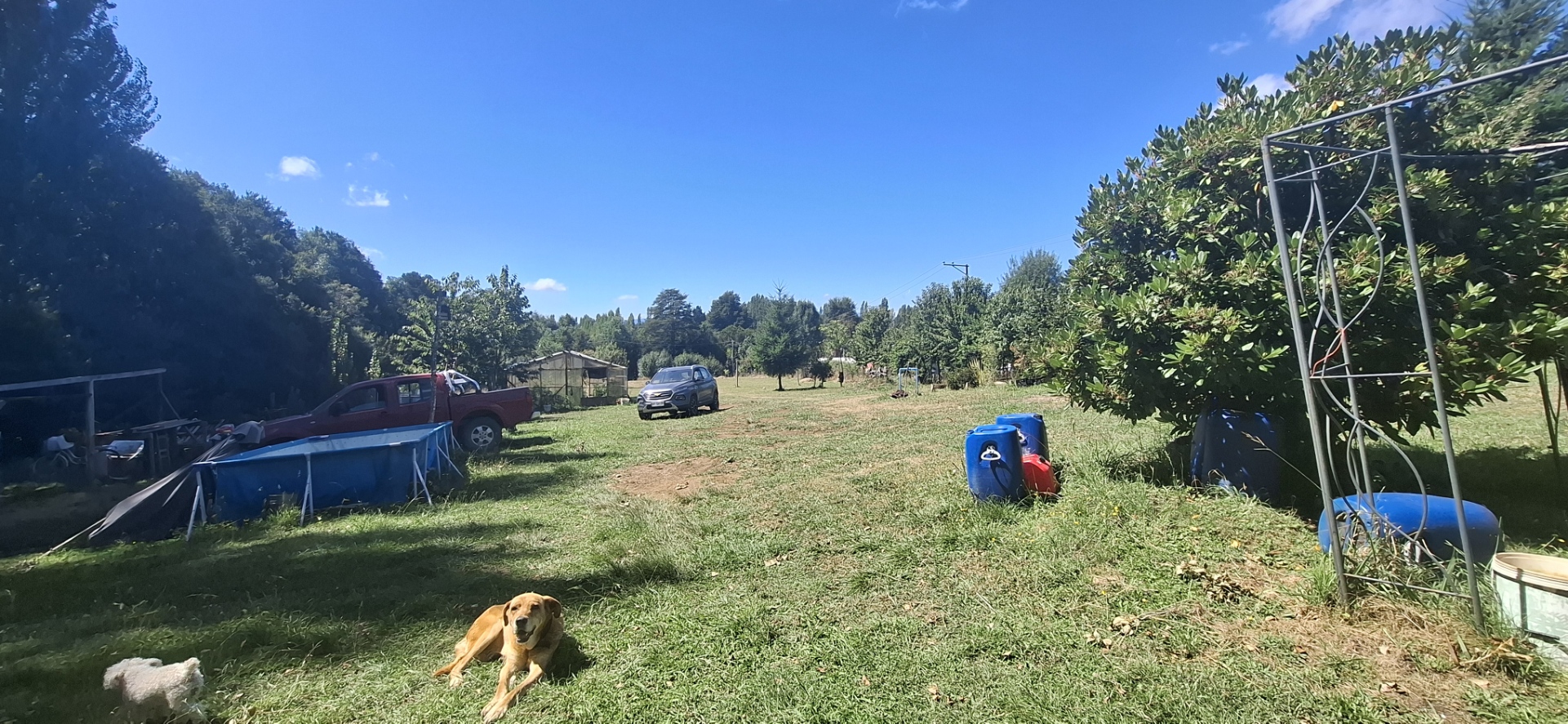 Foto 3 de A497 Parcela con Casa y Cabaña en Huincacara – Entorno de Bosque Nativo
