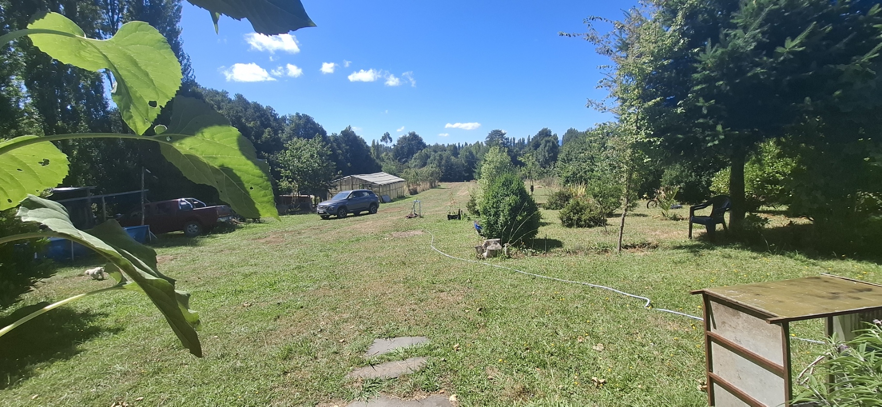 Foto 8 de A497 Parcela con Casa y Cabaña en Huincacara – Entorno de Bosque Nativo