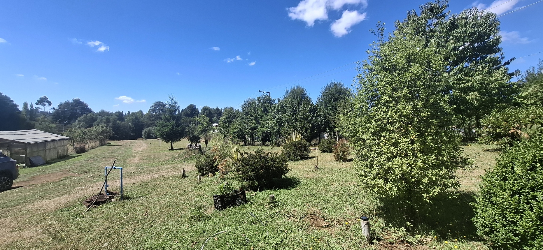 Foto 10 de A497 Parcela con Casa y Cabaña en Huincacara – Entorno de Bosque Nativo