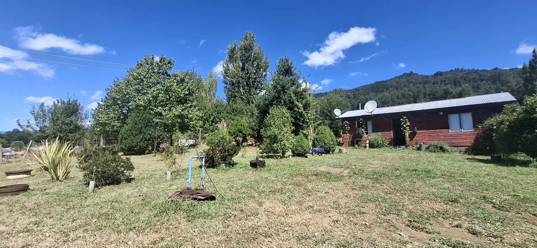 Foto 12 de A497 Parcela con Casa y Cabaña en Huincacara – Entorno de Bosque Nativo