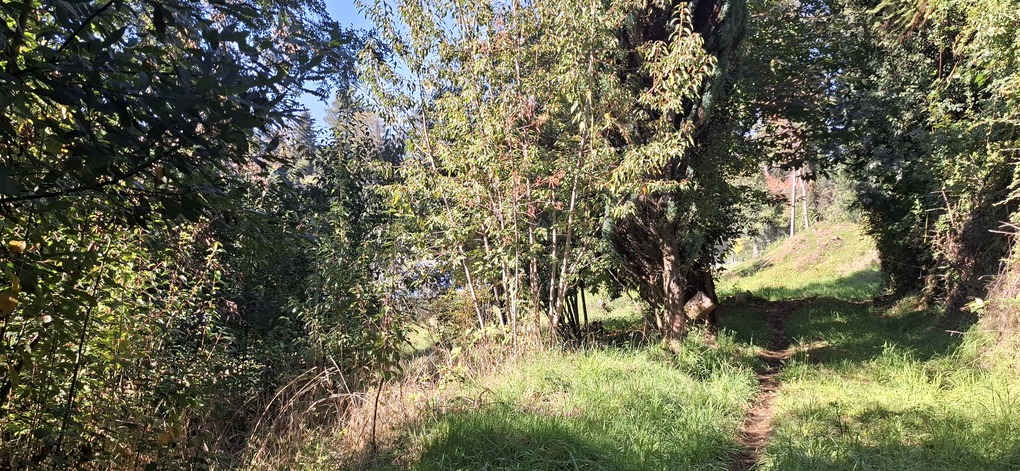 Foto 4 de A474 TERRENO PROYECTO INMOBILARIO EN LA COLINA - VILLARRICA