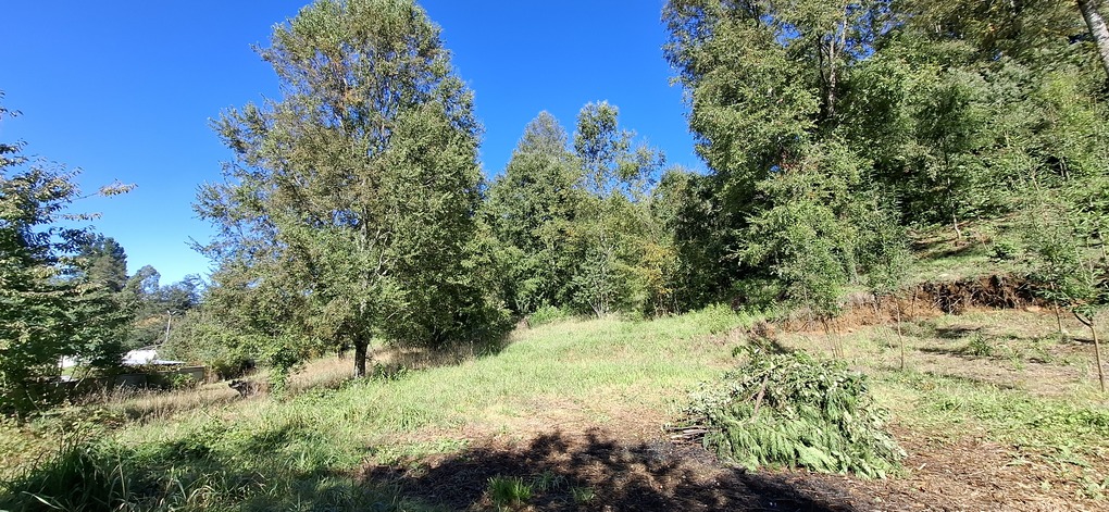 Foto 20 de A474 TERRENO PROYECTO INMOBILARIO EN LA COLINA - VILLARRICA