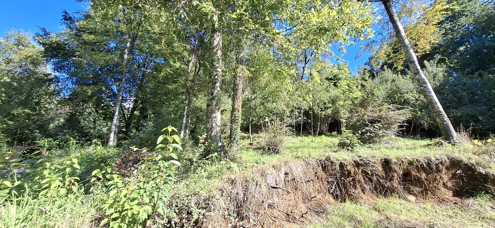 Foto 21 de A474 TERRENO PROYECTO INMOBILARIO EN LA COLINA - VILLARRICA